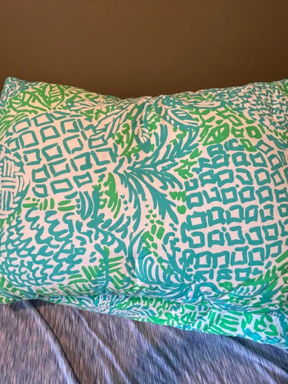 Pottery Barn Lilly Pulitzer Home Slice Full/Queen Comforter and 2 Standard Shams